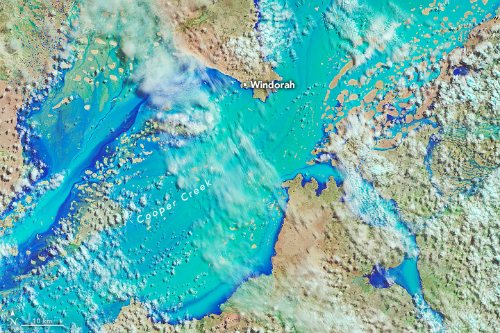 A false-color satellite image shows Cooper Creek in the Australian outback near Windorah. Water covers a floodplain that is tens of kilometers wide. Some clouds are present.