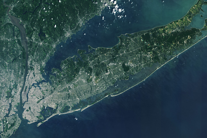 Celebrating a Long Career With Roots on Long Island