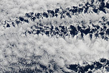 Open- and Closed-Cell Clouds over the Pacific Ocean